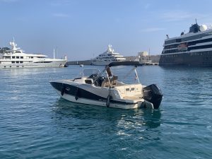 Location Quicksilver 755 Sundeck - Mercury 250 cv